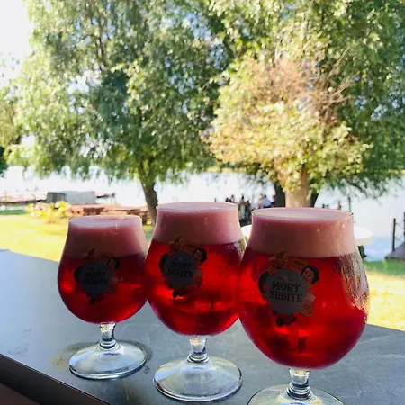 Campingplads Toparti *