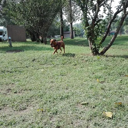Camping Toparti Tiszafüred