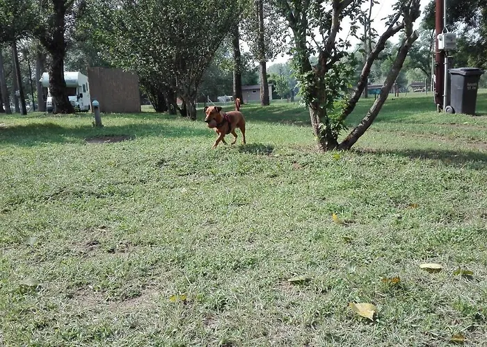 Camping Toparti Tiszafüred